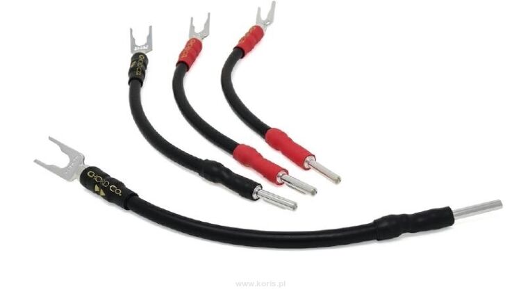 Chord Epic Links ChordOhmic