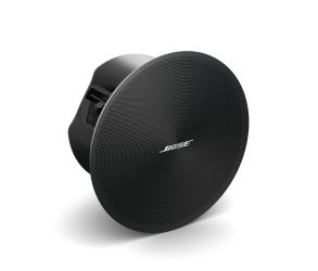 Bose DesignMax DM3C