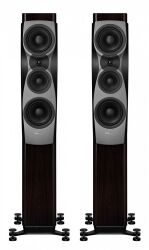 Dynaudio Confidence 30 (raven wood)