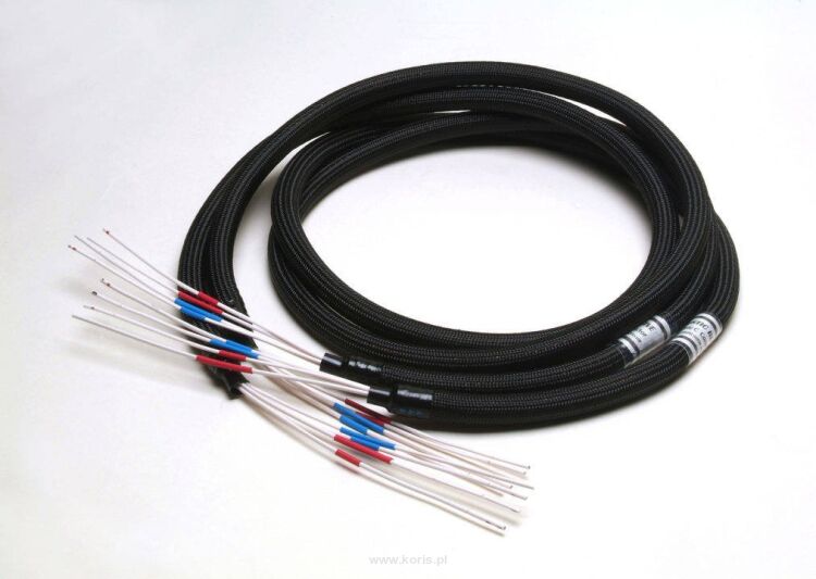 Acoustic Revive SPC-Triple C 4-core by wire