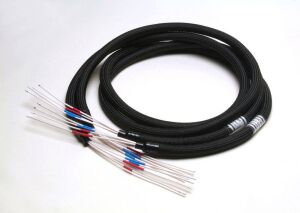 Acoustic Revive SPC-Triple C 4-core by wire
