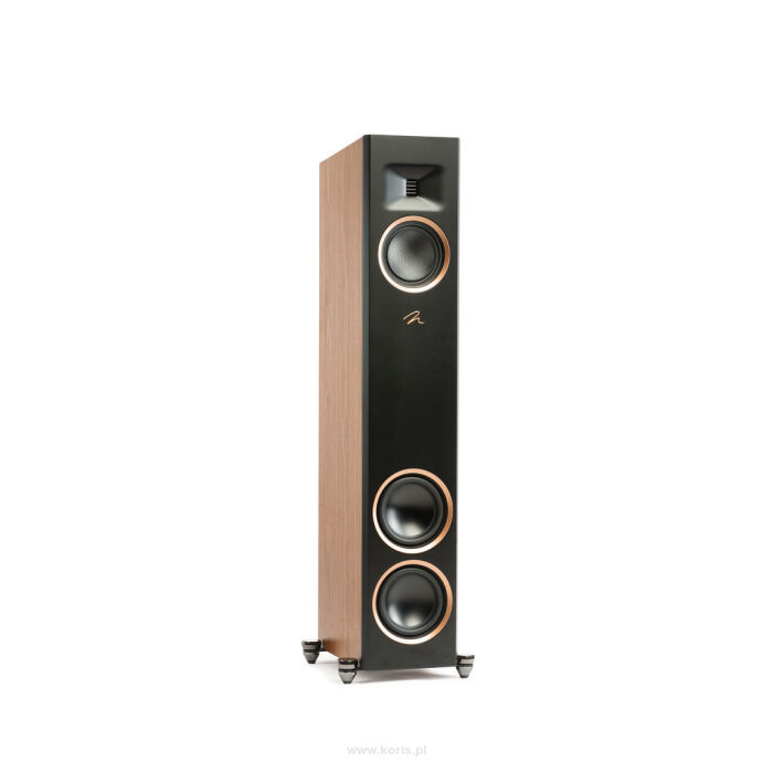 Martin Logan Motion F20