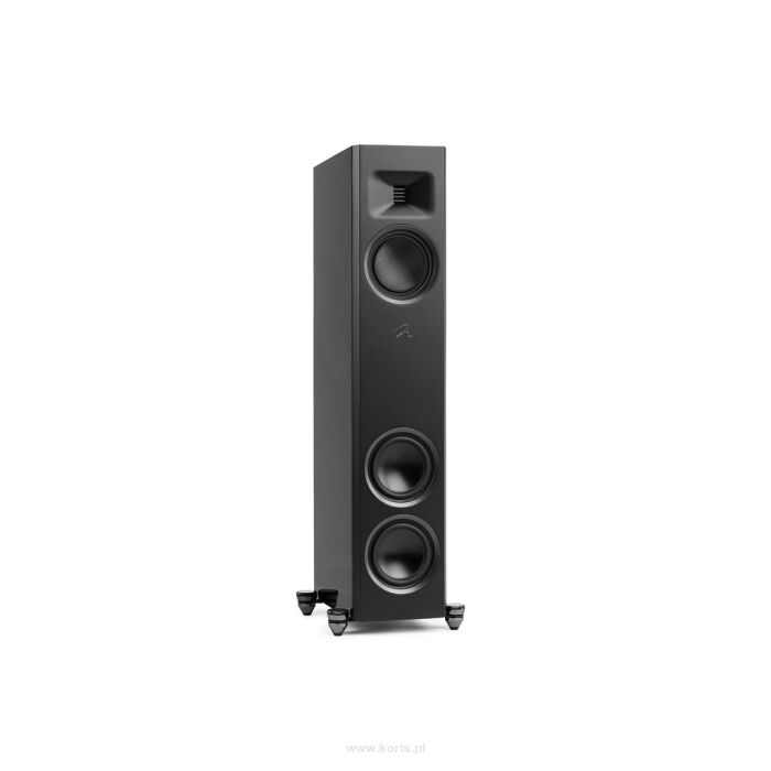 Martin Logan Motion F10