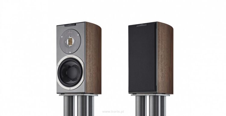 Audiovector R1 Avantgarde (Walnut matte)