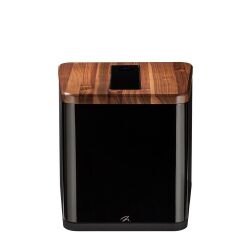 Martin Logan BalancedForce 210