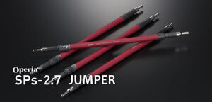 Kondo Audio SP-2.7 Zworki