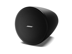 Bose DesignMax DM3P