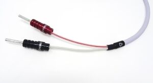 Chord Odyssey X Speaker
